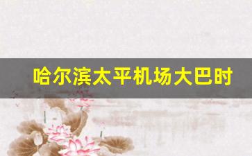 哈尔滨太平机场大巴时刻表_从哈站打车到太平机场多少钱