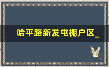 哈平路新发屯棚户区_哈尔滨朝阳镇前进村房屋征收公告