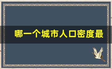 哪一个城市人口密度最大