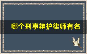 哪个刑事辩护律师有名