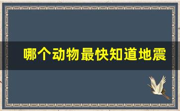 哪个动物最快知道地震