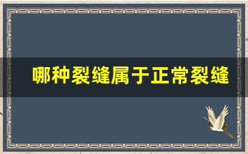 哪种裂缝属于正常裂缝_房屋有裂缝找哪个部门