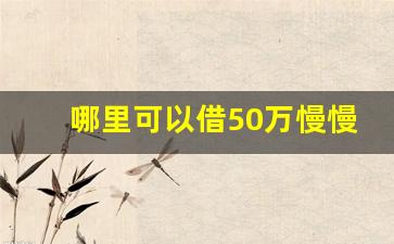 哪里可以借50万慢慢还_负债最快上岸方法