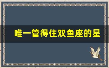 唯一管得住双鱼座的星座_暗中保护双鱼的星座