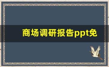 商场调研报告ppt免费魔板