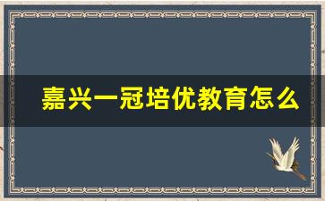 嘉兴一冠培优教育怎么样