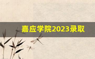 嘉应学院2023录取分_录取结果怎么查询