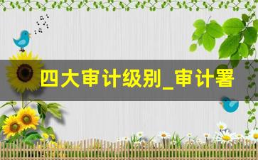 四大审计级别_审计署是什么级别