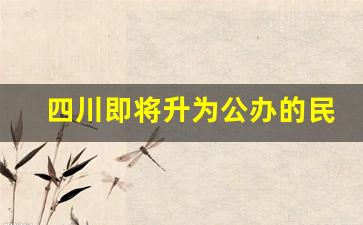 四川即将升为公办的民办大学_川北医学院改名为四川医科大学