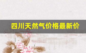 四川天然气价格最新价格_2023天然气价格表一览