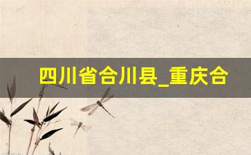 四川省合川县_重庆合川有几个镇