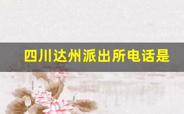 四川达州派出所电话是多少_达州通川区朝阳派出所