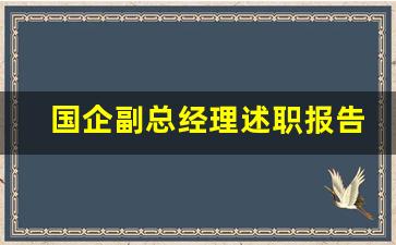 国企副总经理述职报告_国企述法报告