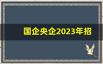 国企央企2023年招聘网_人力资源管理师报考条件