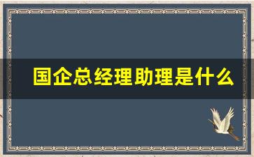 国企总经理助理是什么级别的_总经理助理可以叫总吗