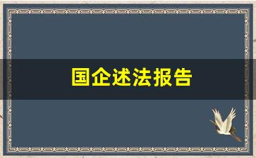 国企述法报告