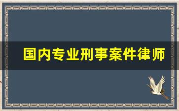 国内专业刑事案件律师