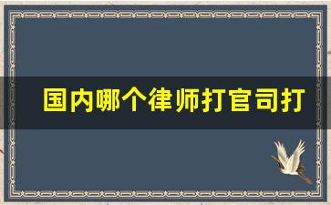 国内哪个律师打官司打的最好_律师可以跨省打官司吗