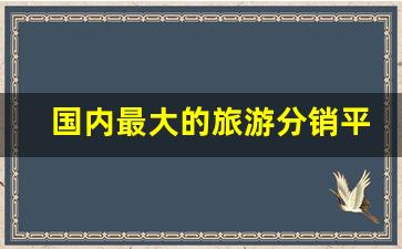 国内最大的旅游分销平台_带佣金的旅游推广平台有哪些