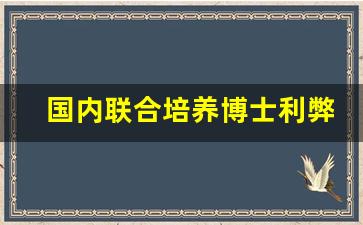 国内联合培养博士利弊