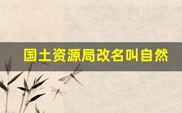 国土资源局改名叫自然资源局_国土举报最有效的电话