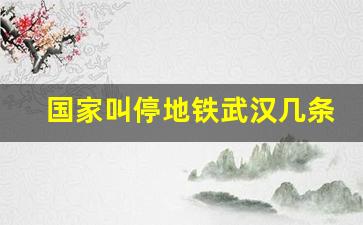 国家叫停地铁武汉几条线叫停_梧桐湖新区地铁取消