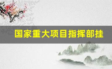 国家重大项目指挥部挂牌_国家重大项目管理委员会