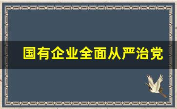 国有企业全面从严治党_以党建为引领,高质量推进国企改革