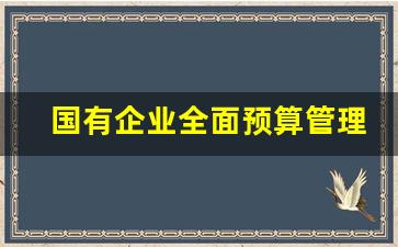 国有企业全面预算管理