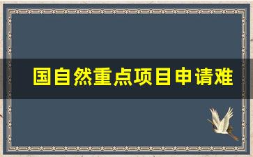 国自然重点项目申请难度