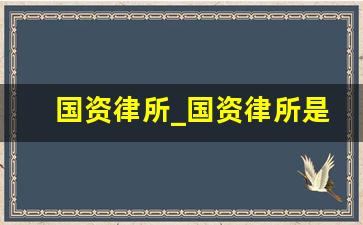 国资律所_国资律所是什么意思