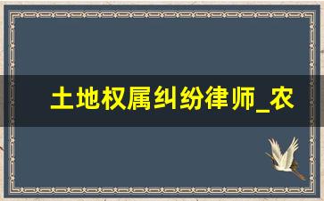 土地权属纠纷律师_农村土地确权纠纷100例