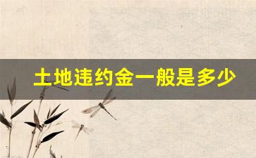 土地违约金一般是多少_关于1‰土地出让滞纳金约定