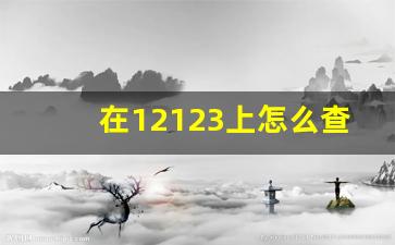 在12123上怎么查扣分_12123查驾驶证扣分记录明细