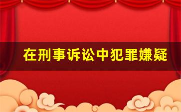 在刑事诉讼中犯罪嫌疑人的辩护律师