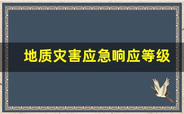 地质灾害应急响应等级_应急预案等级