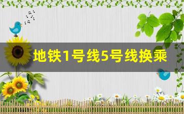 地铁1号线5号线换乘图