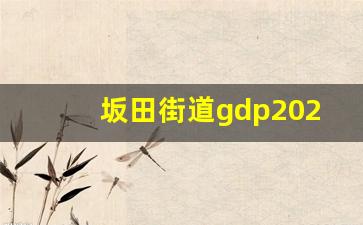 坂田街道gdp2022_深圳坂田是市中心吗