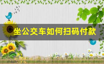 坐公交车如何扫码付款_公交车有几种支付方式