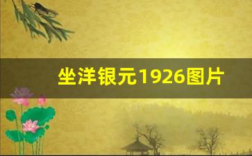 坐洋银元1926图片及价格_坐洋币1905真品能卖多少钱