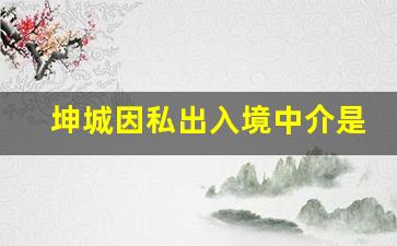 坤城因私出入境中介是诈骗吗_公司员工行为被判定为诈骗案例