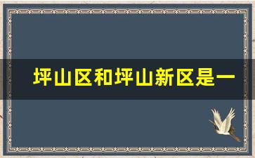 坪山区和坪山新区是一个地方吗