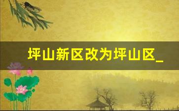 坪山新区改为坪山区_坪山区和坪山新区是一个地方吗