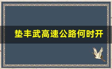 垫丰武高速公路何时开工_垫江段大垫丰武高速施工单位