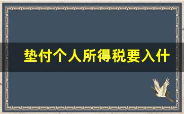 垫付个人所得税要入什么科目_扣税计入什么科目