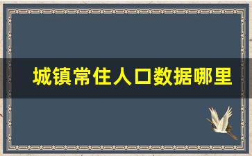 城镇常住人口数据哪里能查_人口信息查询系统入口