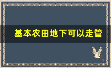 基本农田地下可以走管道吗