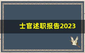 士官述职报告2023