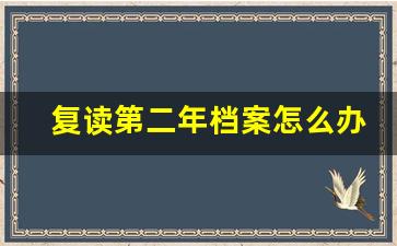 复读第二年档案怎么办