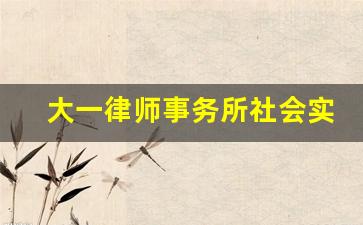 大一律师事务所社会实践报告